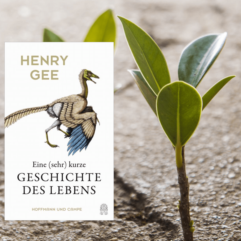 Eine (sehr) kurze Geschichte des Lebens (Henry Gee, Hoffmann und Kampe Verlag)
