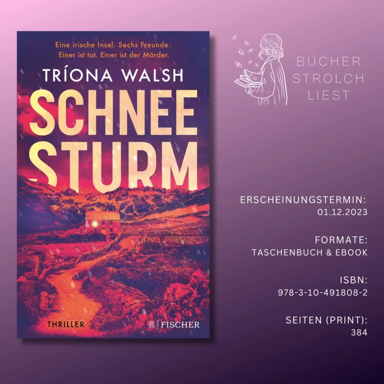 Mehr über den Artikel erfahren Ein Schneesturm in Irland