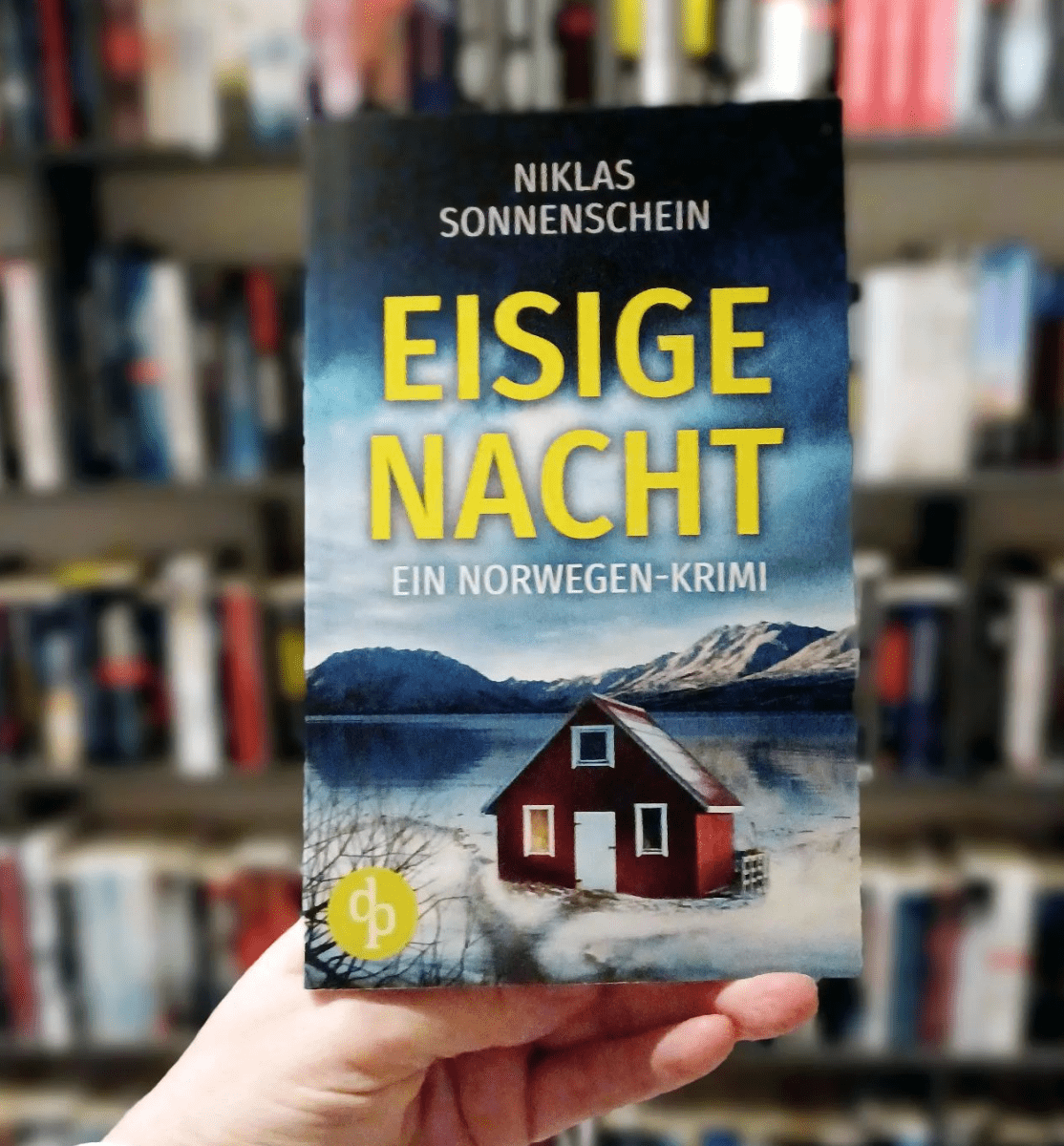 You are currently viewing Eisige Nacht (Niklas Sonnenschein)