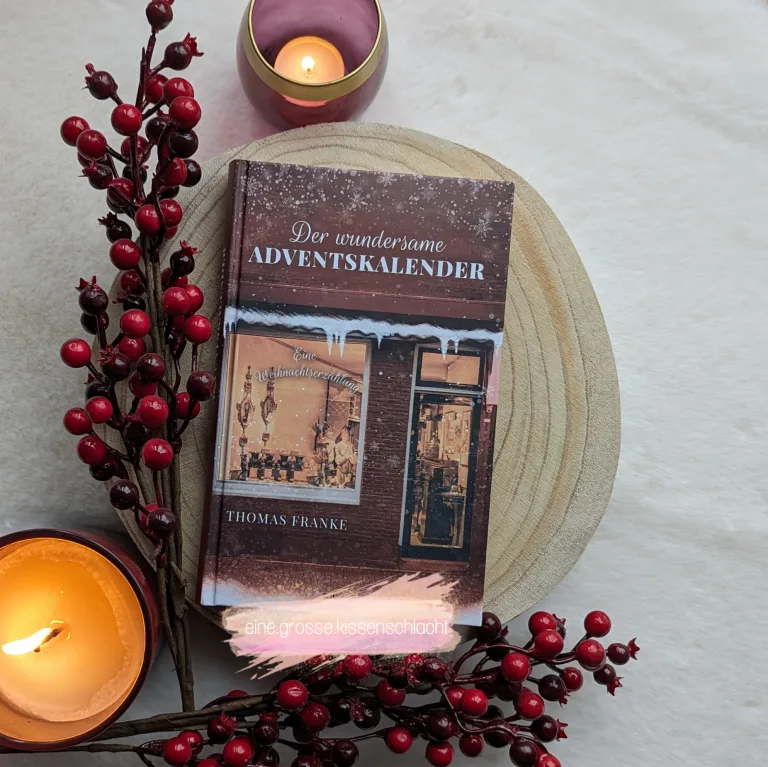 Mehr über den Artikel erfahren Der wundersame Adventskalender (Thomas Franke)