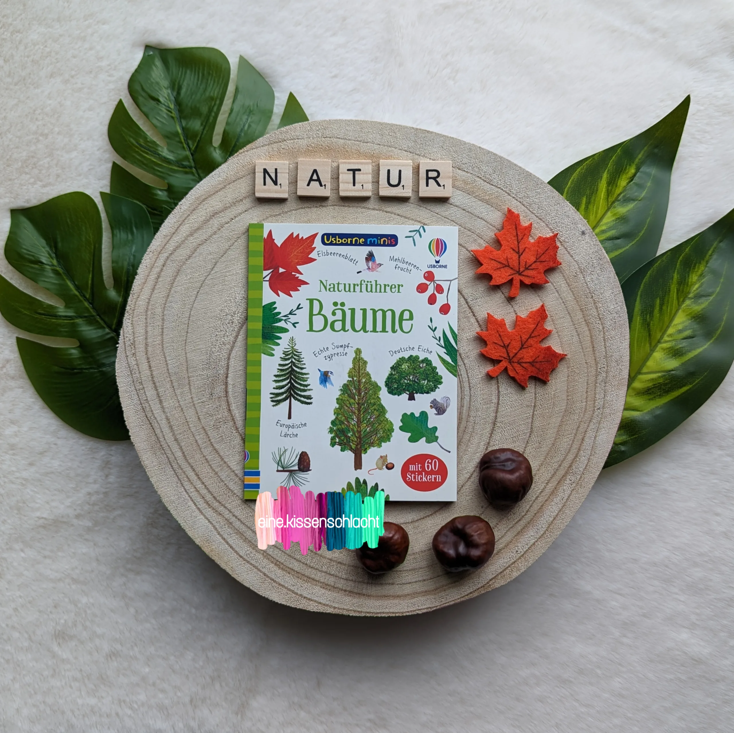 Mehr über den Artikel erfahren Naturführer Bäume (Sam Smith & Kirsteen Robson)