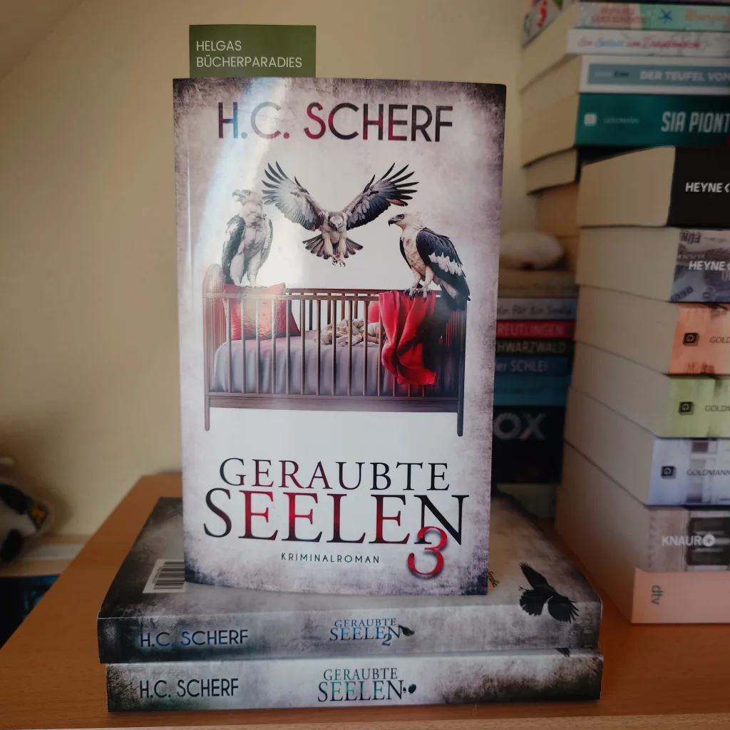 Geraubte Seelen 3 H.C. Scherf