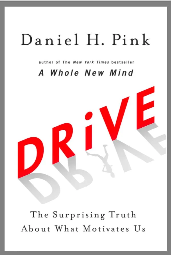 Du betrachtest gerade Drive: The Surprising Truth About What Motivates Us (Daniel H. Pink)