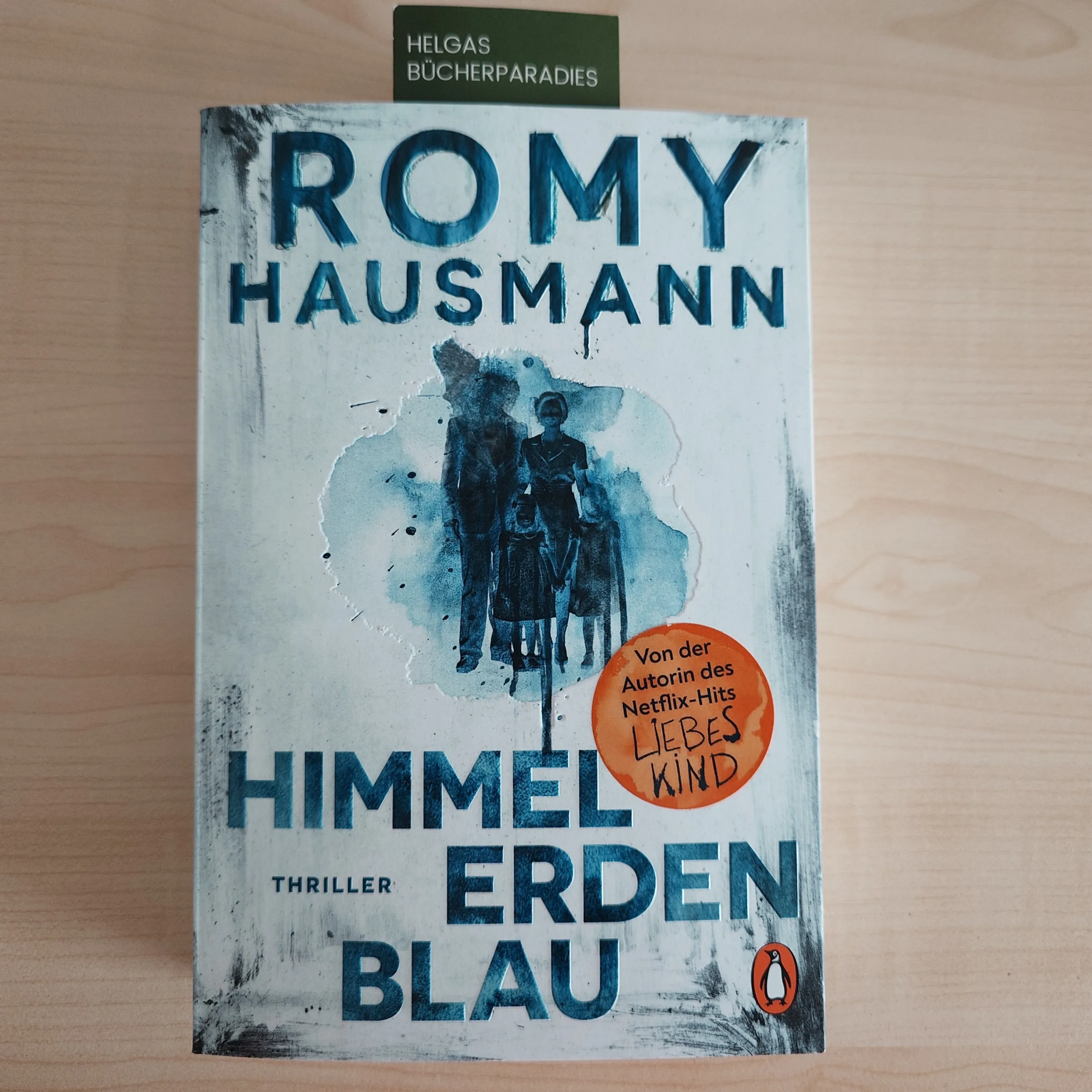 Du betrachtest gerade Himmelerdenblau – Romy Hausmann