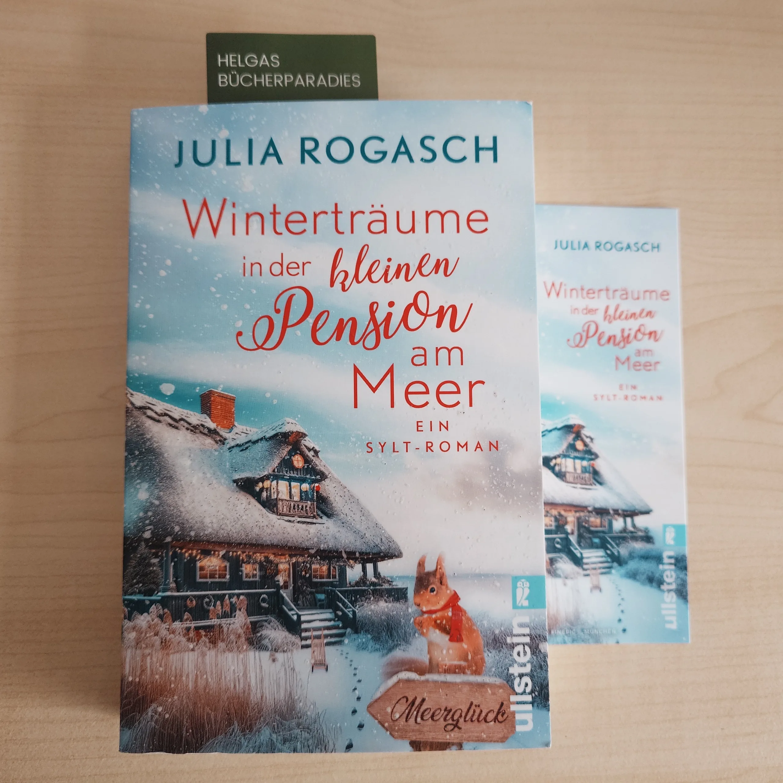 Du betrachtest gerade Winterträume in der kleinen Pension am Meer – Julia Rogasch