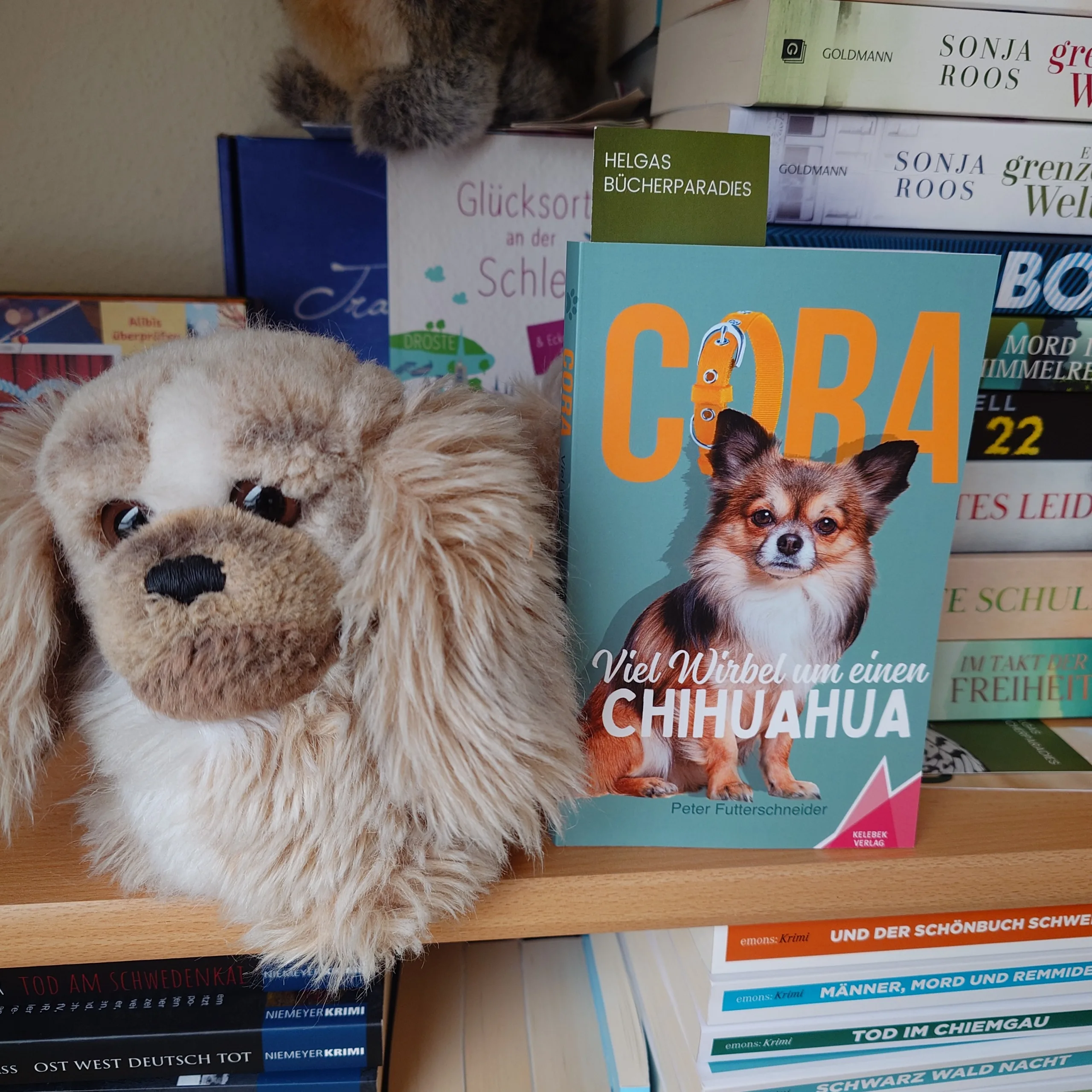 Du betrachtest gerade Cira Viel Wirbel um einen Chihuahua – Peter Futterschneider