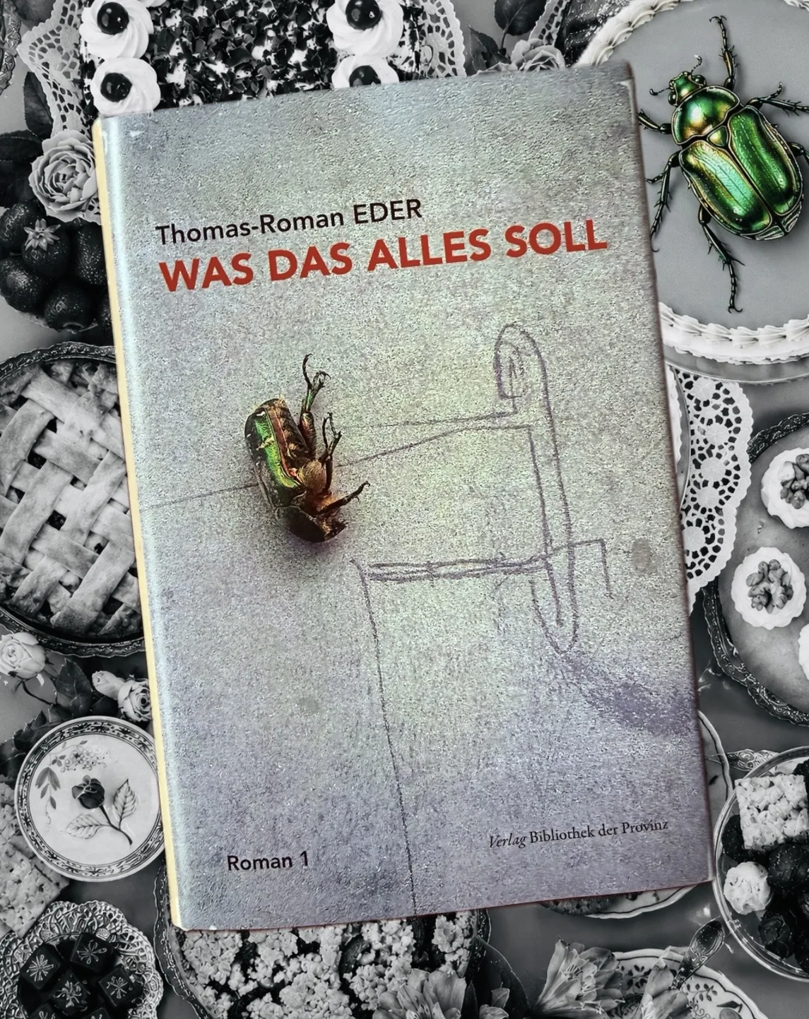 Mehr über den Artikel erfahren Was das alles soll (Thomas-Roman Eder)